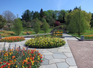 goteborgs_botaniska_tradgard-_tema_vild_var